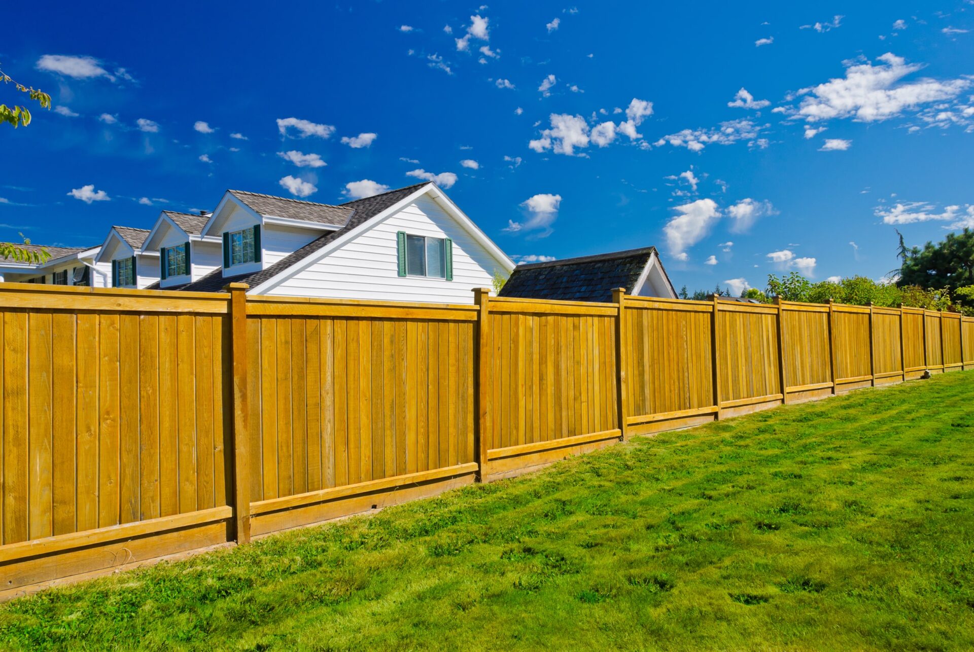Wooden privacy fence along suburban backyard lawn